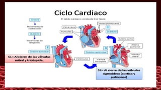 Funcion de los ventrículos como bombas
 