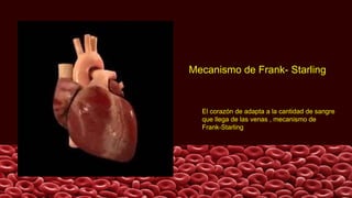 Mecanismo de Frank- Starling
El corazón de adapta a la cantidad de sangre
que llega de las venas , mecanismo de
Frank-Starling
 