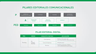 PILARES EDITORIALES COMUNICACIONALES
PILAR EDITORIAL DIGITAL
EXPERTO EN
TRANSPORTE DE CARGA
CONFIANZA MODERNA
ENTREGA EN
CADA ENTREGA
VENDEDORES
ON-LINE
PERSONAS
DISTANCIADAS
EMPRESAS
P
A
BRANDING EDUCACIÓN CERCANÍA EXPERIENCIAPED
Branding
FB
Linkedin
SitioWeb
Quehacemos. Mostrar información de
envío de productos, tipos de envíos.
PED MEDIO CONCEPTO TÁCTICO APLICACIÓN
Comolohacemos.
Servicios.
Infraestructura.
Nuestrosproductosaofrecer
consusdistintasformasdeutilizar.
 