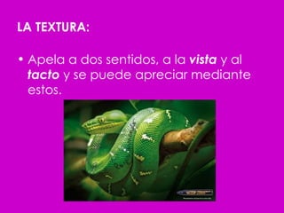 LA TEXTURA: Apela a dos sentidos, a la  vista  y al  tacto  y se puede apreciar mediante estos. 