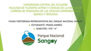 UNIVERSIDAD CENTRAL DEL ECUADOR
FACULTAD DE FILOSOFIA LETRAS Y CIENCIAS DE LA EDUCACION
CARRERA DE PEDAGODIA DE LAS CIENCIAS EXPERIMENTALES
QUIMICA Y BIOLOGIA
FAUNA VERTEBRADA REPRESENTATIVA DEL PARQUE NACIONAL SANGAY
 ESTUDIANTE: PRADO ANDRÉS
 SEMESTRE: 5TO “A”
 
