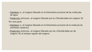 ◦ Hipótesis: si…el oxígeno liberado en la fotosíntesis proviene de las moléculas
de agua.
◦ Predicción: entonces…el oxigeno liberado por la Chlorella debe ser oxígeno 18
Por otra parte
oHipótesis: si…el oxígeno liberado en la fotosíntesis proviene de la molécula de
anhídrido carbónico
oPredicción: entonces…el oxígeno liberado por las Chlorella debe ser de
oxígeno 16, el isótopo regular del oxígeno.
 
