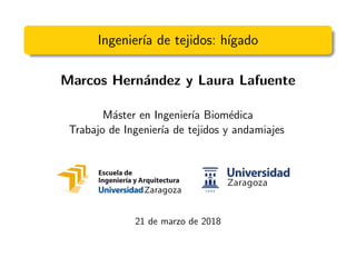 Ingenier´ıa de tejidos: h´ıgado
Marcos Hern´andez y Laura Lafuente
M´aster en Ingenier´ıa Biom´edica
Trabajo de Ingenier´ıa de tejidos y andamiajes
21 de marzo de 2018
 