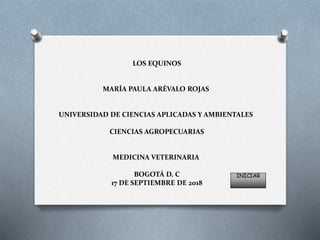 LOS EQUINOS
MARÍA PAULA ARÉVALO ROJAS
UNIVERSIDAD DE CIENCIAS APLICADAS Y AMBIENTALES
CIENCIAS AGROPECUARIAS
MEDICINA VETERINARIA
BOGOTÁ D. C
17 DE SEPTIEMBRE DE 2018
INICIAR
 