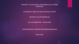 FUNCIÓN Y LOCALIZACIÓN ANATÓMICA DE LOS PARES
CRANEALES
ESTUDIANTE: JENNY DE JESUS ARTEAGA CASTRO
DOCENTE: OSCAR RODRIGUEZ
2do CUATRIMESTRE – PSICOLOGIA
COORPORACIÓN UNIVERSITARIA IBEROAMERICANA
08/03/2019
 