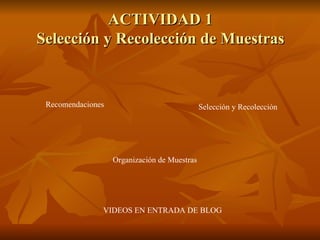 ACTIVIDAD 1 Selección y Re colección de Muestras Recomendaciones  Selección y Recolección Organización de Muestras VIDEOS EN ENTRADA DE BLOG 