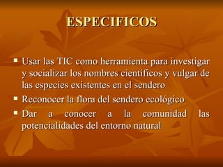 ESPECIFICOS Usar las TIC como herramienta para investigar y socializar los nombres científicos y vulgar de las especies existentes en el sendero Reconocer la flora del sendero ecológico Dar a conocer a la comunidad las potencialidades del entorno natural  