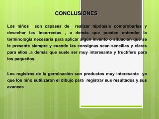 CONCLUSIONES  Los niños  son capases de  realizar hipótesis comprobarlas y desechar las incorrectas , a demás que pueden entender la terminología necesaria para aplicar algún invento o situación que se le presente siempre y cuando las consignas sean sencillas y claras para ellos .a demás que suele ser muy interesante y fructífero para los pequeños.   Los registros de la germinación son productos muy interesante  ya que los niño sutilizaron el dibujo para  registrar sus resultados y sus avances .       