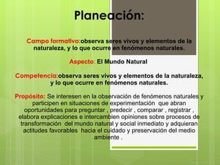 Planeación: Campo formativo: observa seres vivos y elementos de la naturaleza, y lo que ocurre en fenómenos naturales. Aspecto :  El Mundo Natural  Competencia: observa seres vivos y elementos de la naturaleza, y lo que ocurre en fenómenos naturales. Propósito:  Se interesen en la observación de fenómenos naturales y participen en situaciones de experimentación  que abran oportunidades para preguntar , predecir , comparar , registrar , elabora explicaciones e intercambien opiniones sobre procesos de transformación  del mundo natural y social inmediato y adquieran actitudes favorables  hacia el cuidado y preservación del medio ambiente .  