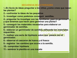 Secuencia de actividades SECUENCIA DE ACTIVIDADES  1 .-En lluvia de ideas preguntar a los niños ¿como crees que nacen las plantas? 2.- confrontar la ideas de los pequeños  3.- investigar como podemos conseguir  semillas. 4.- preguntar he investigar con los familiares ¿que es germinar? ¿ y que tenemos que hacer para germinar una planta? 5.- conseguir los materiales necesarios para elaborar un germinador de semillas. 6.- elaborar un germinador de semillas utilizando los materiales requeridos. 7.- realizar una serie de hipótesis sobre que  pasara con el germinador. 8.- observar el cascaron de huevo y el frasco  9.- registrar  los cambios que ocurre a la semilla. 10.- comprobar hipótesis 11.- sembrar la plantita en una maceta 
