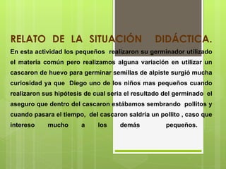 RELATO DE LA SITUACIÓN  DIDÁCTICA. En esta actividad los pequeños  realizaron su germinador utilizado el materia común pero realizamos alguna variación en utilizar un cascaron de huevo para germinar semillas de alpiste surgió mucha curiosidad ya que  Diego uno de los niños mas pequeños cuando realizaron sus hipótesis de cual seria el resultado del germinado  el aseguro que dentro del cascaron estábamos sembrando  pollitos y cuando pasara el tiempo,  del cascaron saldría un pollito , caso que intereso mucho a los demás  pequeños.   