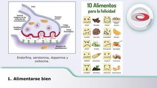 1. Alimentarse bien
Endorfina, serotonina, dopamina y
oxitocina.
 