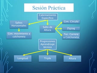 Sesión Práctica
Triple
Progresiones
Aprendizaje
técnico
Longitud
Calentamiento
Especifico
Gim. Círculo
Salto de
Altura
Saltos
Horizontales
Gim. movimiento a
colchoneta
Altura
Zigzag
Tec. Carrera
a Colchoneta
 