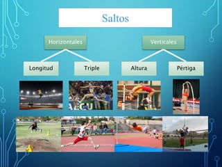 Saltos
Horizontales
Longitud Triple Altura Pértiga
Verticales
 