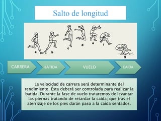 Salto de longitud
CARRERA BATIDA VUELO CAÍDA
La velocidad de carrera será determinante del
rendimiento. Ésta deberá ser controlada para realizar la
batida. Durante la fase de vuelo trataremos de levantar
las piernas tratando de retardar la caída; que tras el
aterrizaje de los pies darán paso a la caída sentados.
 