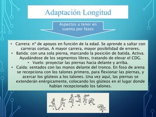Adaptación Longitud
• Carrera: nº de apoyos en función de la edad. Se aprende a saltar con
carreras cortas. A mayor carrera, mayor posibilidad de errores.
• Batida: con una sola pierna, marcando la posición de batida. Activa.
Ayudándose de los segmentos libres, tratando de elevar el CDG.
• Vuelo: proyectar las piernas hacia delante y arriba.
• Caída: sentados con las manos delante del tronco. En foso de arena
se recepciona con los talones primero, para flexionar las piernas, y
acercar los glúteos a los talones. Una vez aquí, las piernas se
extenderán enérgicamente, colocando los glúteos en el lugar donde
habían recepcionado los talones.
Aspectos a tener en
cuenta por fases
 