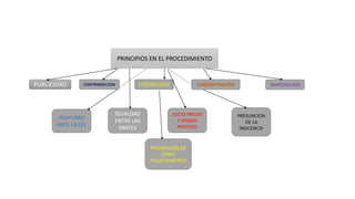 PRINCIPIOS EN EL PROCEDIMIENTO
PUBLICIDAD CONTRADICCION CONTINUIDAD
IGUALDAD
ANTE LA LEY
INMEDIACION
CONCENTRACION
PROHIBICION DE
DOBLE
ENJUICIAMIENTO
PRESUNCION
DE LA
INOCENCIA
JUICIO PREVIO
Y DEBIDO
PROCESO
IGUALDAD
ENTRE LAS
PARTES
 