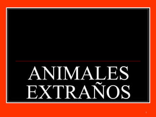 1
ANIMALES
EXTRAÑOS
 