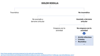 DOLOR RODILLA
Traumático No traumático
No asociado a
derrame articular
Asociado a derrame
articular
No empeora con la
actividad
Empeora con la
actividad
• Artritis infecciosa
• Cristales
• Reumática
…
https://www.uptodate.com/contents/approach-to-the-adult-with-unspecified-knee-
pain?search=dolor%20articular%20diagnostico%20diferencial&source=search_result&selectedTitle=4~150&usage_type=default&display_rank=4
 