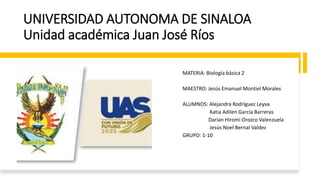 UNIVERSIDAD AUTONOMA DE SINALOA
Unidad académica Juan José Ríos
MATERIA: Biología básica 2
MAESTRO: Jesús Emanuel Montiel Morales
ALUMNOS: Alejandra Rodríguez Leyva
Katia Adilen García Barreras
Darian Hiromi Orozco Valenzuela
Jesús Noel Bernal Valdez
GRUPO: 1-10
 