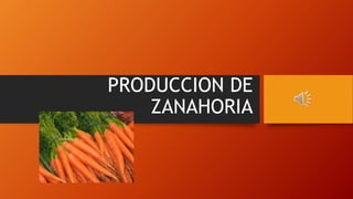 PRODUCCION DE
ZANAHORIA
 