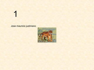 1    Jose mauricio justiniano  