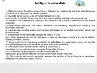 Presentación 5 metodologías