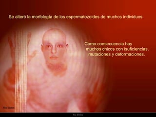 Se alteró la morfología de los espermatozoides de muchos individuos Como consecuencia hay  muchos chicos con isuficiencias, mutaciones y deformaciones.  