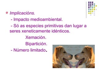 Implicacións. - Impacto medioambiental. - Só as especies primitivas dan lugar a seres xeneticamente idénticos. Xemación. Bipartición. - Número limitado . 