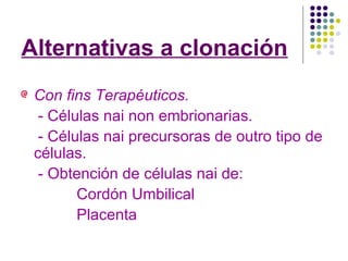 Alternativas a clonación Con fins Terapéuticos. - Células nai non embrionarias. - Células nai precursoras de outro tipo de células. - Obtención de células nai de: Cordón Umbilical Placenta 