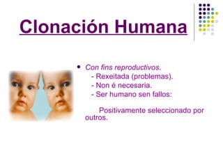 Clonación Humana Con fins reproductivos . - Rexeitada (problemas). - Non é necesaria. - Ser humano sen fallos: Positivamente seleccionado por outros. 