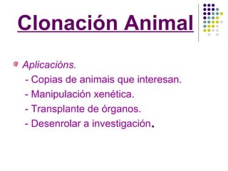 Clonación Animal Aplicacións. -  Copias de animais que interesan. - Manipulación xenética. - Transplante de órganos. - Desenrolar a investigación . 