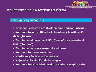 BENEFICIOS DE LA ACTIVIDAD FÍSICA
Fisiológicos y biológicos
• Previene, reduce y/controla la hipertensión arterial.
• Aumenta la sensibilidad a la insulina y la utilización
de la glucosa
• Disminuye el colesterol LDL (“malo”) y aumenta el
HDL (“bueno”)
• Disminuye la grasa corporal y el peso
• Aumenta la masa muscular
• Mantiene y fortalece los huesos
• Mejora la circulación de la sangre
• Aumenta la capacidad cardiovascular y respiratoria
 