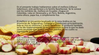 Presentación agro-turismo-melloco | PPTX