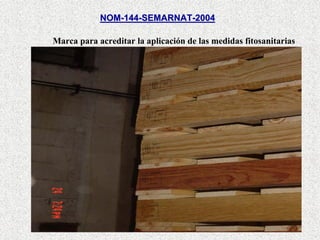 Presentacion Amee Taller