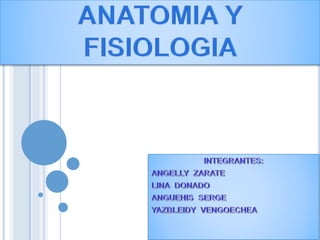 presentacion-anatomia.pptx