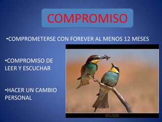 COMPROMISO
•COMPROMETERSE CON FOREVER AL MENOS 12 MESES


•COMPROMISO DE
LEER Y ESCUCHAR


•HACER UN CAMBIO
PERSONAL
 