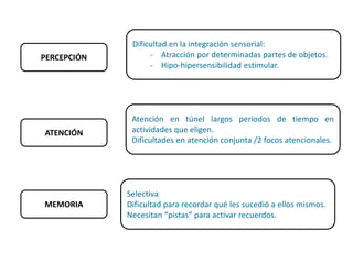 PERCEPCIÓN
ATENCIÓN
MEMORIA
Dificultad en la integración sensorial:
- Atracción por determinadas partes de objetos.
- Hipo-hipersensibilidad estimular.
Atención en túnel largos periodos de tiempo en
actividades que eligen.
Dificultades en atención conjunta /2 focos atencionales.
Selectiva
Dificultad para recordar qué les sucedió a ellos mismos.
Necesitan “pistas” para activar recuerdos.
 