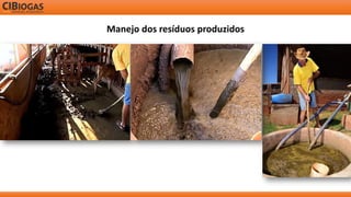Manejo dos resíduos produzidos  
