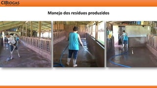 Manejo dos resíduos produzidos  