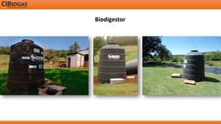 Biodigestor  