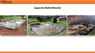 Lagoa de Biofertilizante  