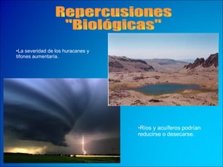 Repercusiones "Biológicas" La severidad de los huracanes y tifones aumentaría. Ríos y acuíferos podrían reducirse o desecarse. 