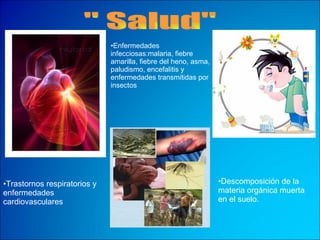 " Salud" Enfermedades infecciosas : malaria, fiebre amarilla, fiebre del heno, asma,  paludismo, encefalitis y enfermedades transmitidas por insectos  Trastornos respiratorios y  enfermedades cardiovasculares   Descomposición de la materia orgánica muerta en el suelo.   