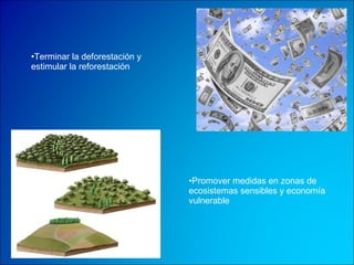 Terminar la deforestación y  estimular la reforestación Promover medidas en zonas de ecosistemas sensibles y economía vulnerable   
