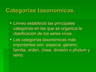 Categorias tasonomicas. Linneo estableció las principales categorías en las que se organiza la clasificación de los seres vivos.  Las categorías taxonómicas más importantes son: especie, género, familia, orden, clase, división o phylum y reino.   