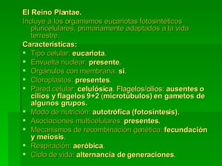 El Reino Plantae.   Incluye a los organismos eucariotas fotosintéticos pluricelulares, primariamente adaptados a la vida terrestre. Características:   Tipo celular:  eucariota .  Envuelta nuclear:  presente .  Orgánulos con membrana:  si .  Cloroplastos:  presentes .  Pared celular:  celulósica . Flagelos/cilios:  ausentes   o cilios y flagelos   9+2  ( microtúbulos) en gametos de algunos grupos.  Modo de nutrición:  autotrófica (fotosíntesis).  Asociaciones multicelulares:  presentes.  Mecanismos de recombinación genética:  fecundación y meiosis .  Respiración:  aeróbica .  Ciclo de vida:  alternancia de generaciones . 