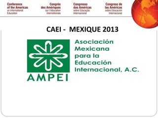 CAEI -  MEXIQUE 2013 