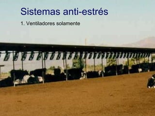 Sistemas anti-estrés 1. Ventiladores solamente 