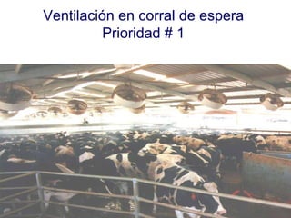 Ventilación en corral de espera Prioridad # 1 